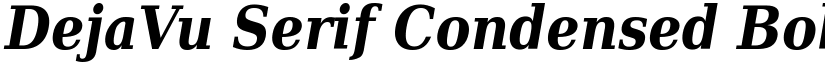 DejaVu Serif Condensed Bold Italic font
