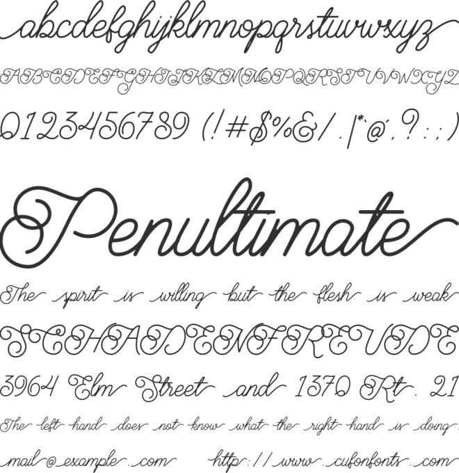 Brayden Script font preview