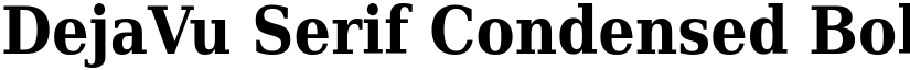 DejaVu Serif Condensed Bold font