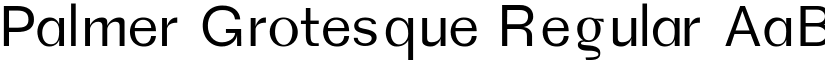 Palmer Grotesque Regular font