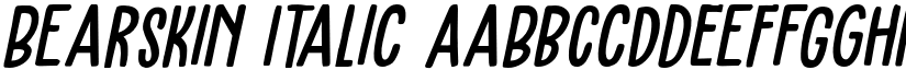 Bearskin Italic font