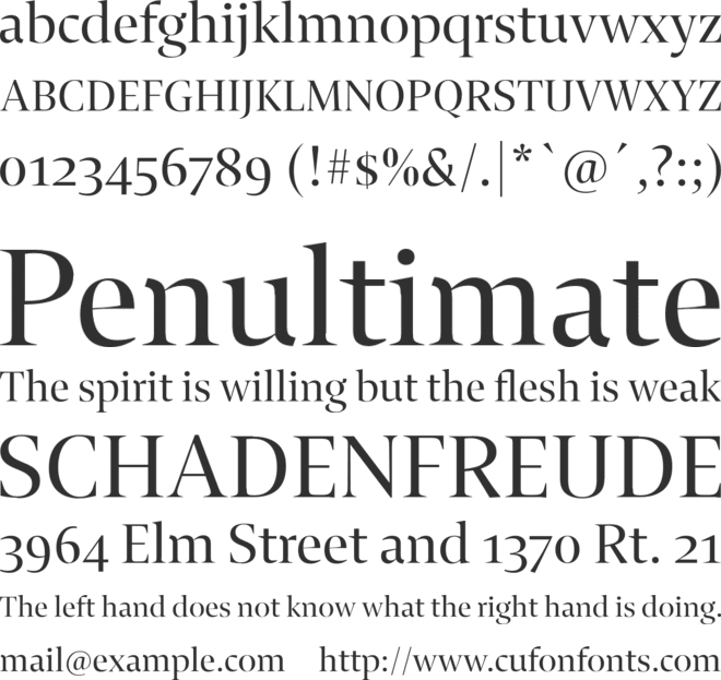 Enigma Fine font preview