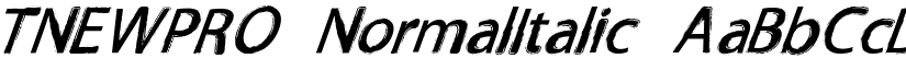 TNEWPRO NormalItalic font