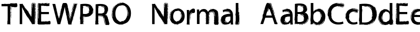 TNEWPRO Normal font