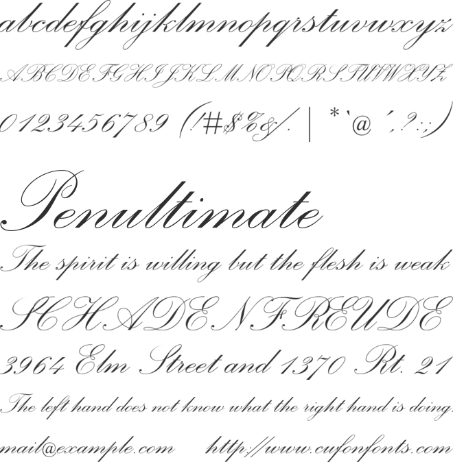 Palace Script MT font preview