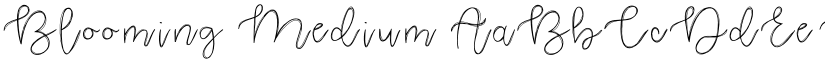 Blooming Medium font
