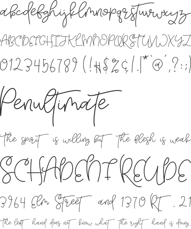 Tuesday font preview