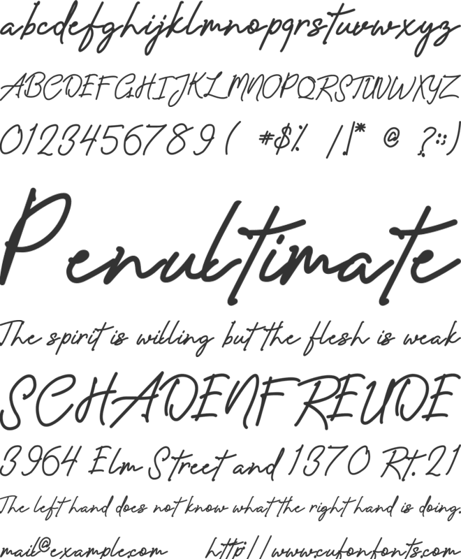 Amanda Signature font preview
