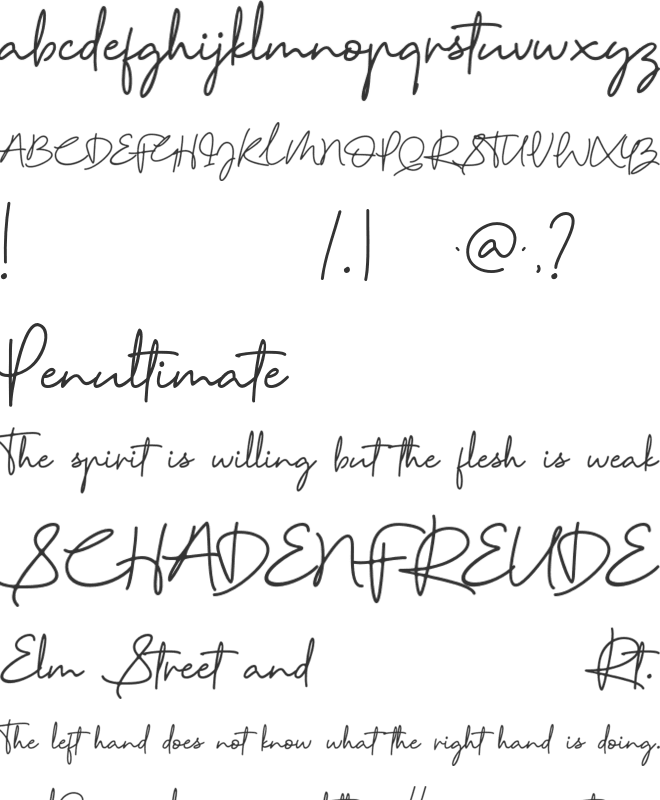 Reinata font preview