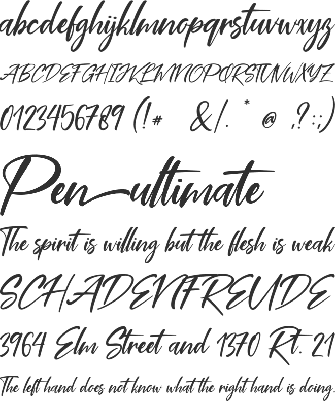 Coral Pen font preview