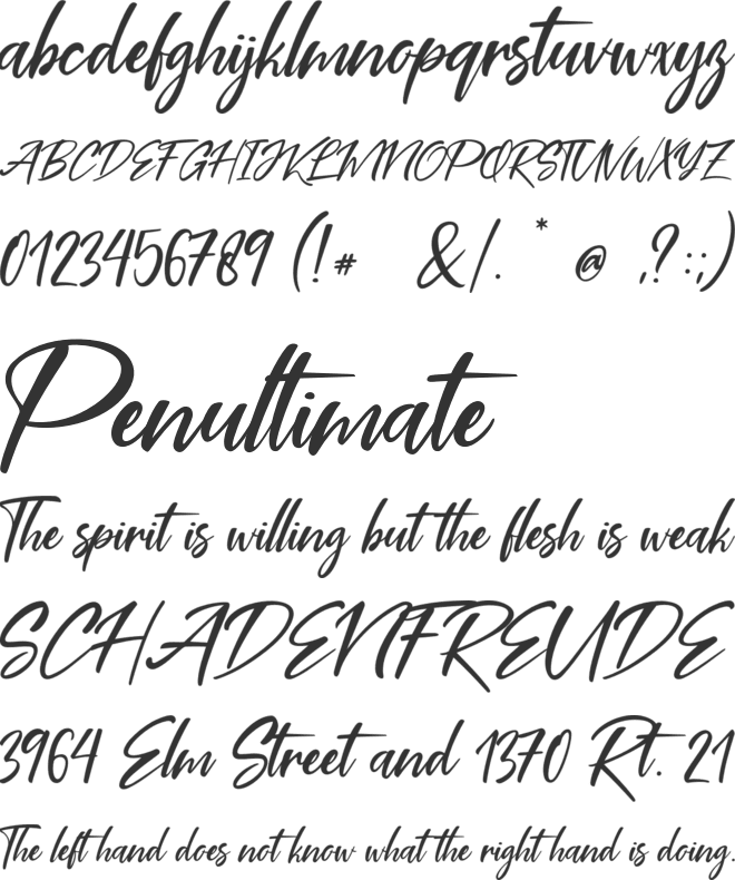 Coral Pen font preview