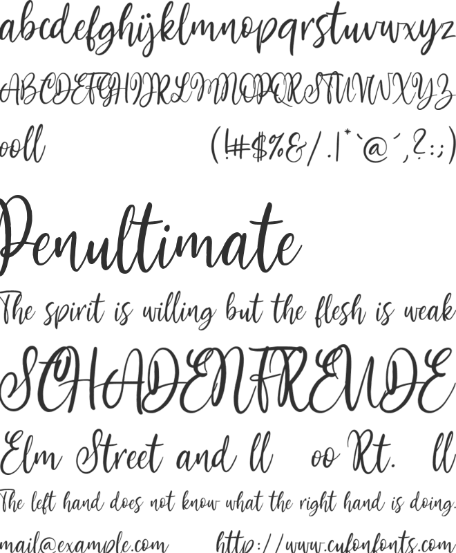 Mollywood font preview