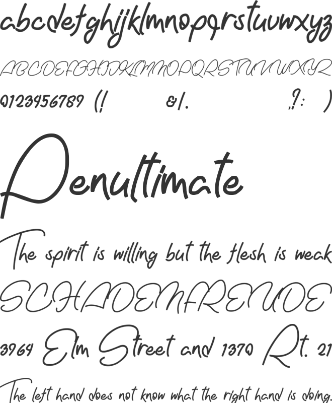 Nachel Victoria font preview