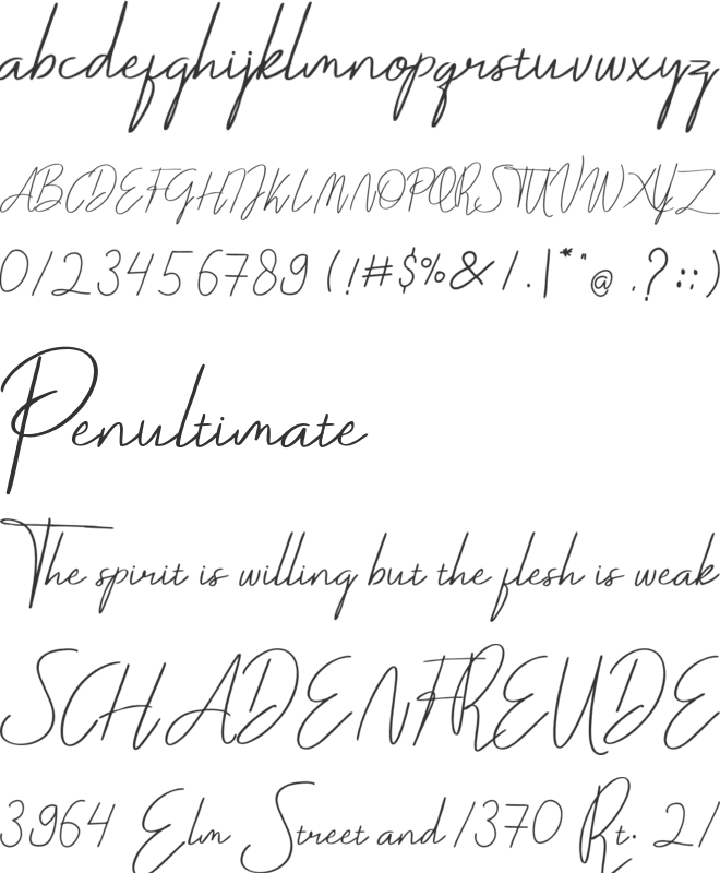 Darcey Oliver font preview