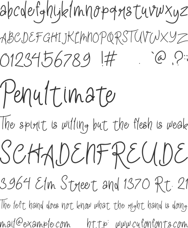 the Brawn font preview