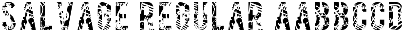 SALVAGE Regular font