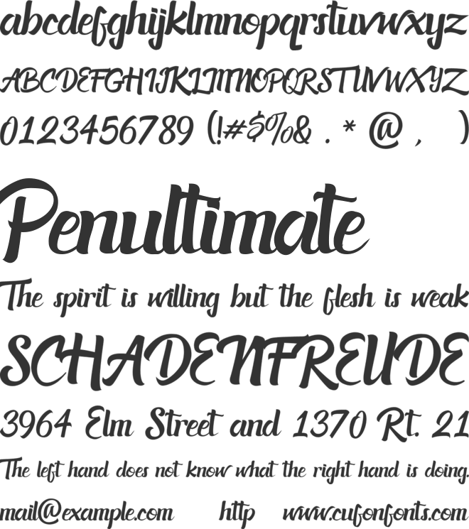 Acknesia font preview
