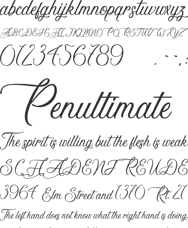 Avenue du Vapoteur font preview