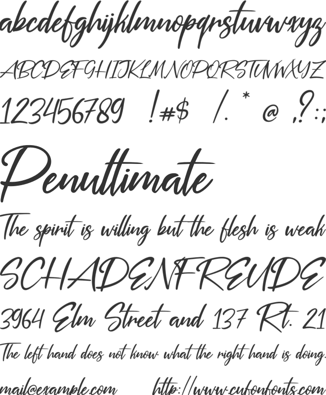 Silver Pen font preview
