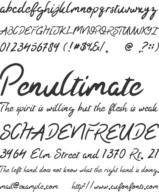 Kaysan Signature font preview