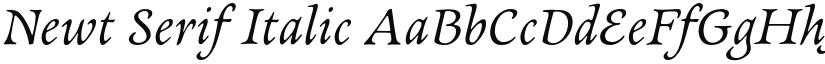 Newt Serif Italic font