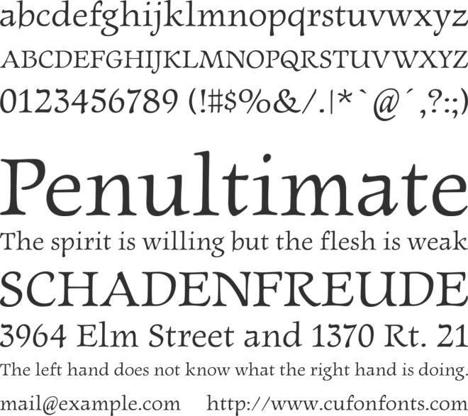 Newt Serif font preview