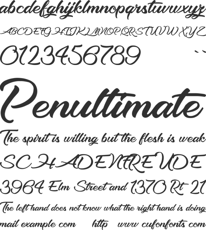Optimal Solutions font preview
