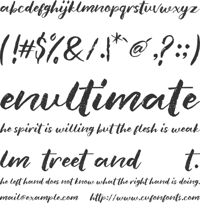 blank monkey font preview