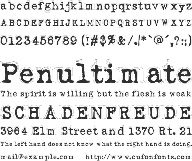 Fluoxetine font preview