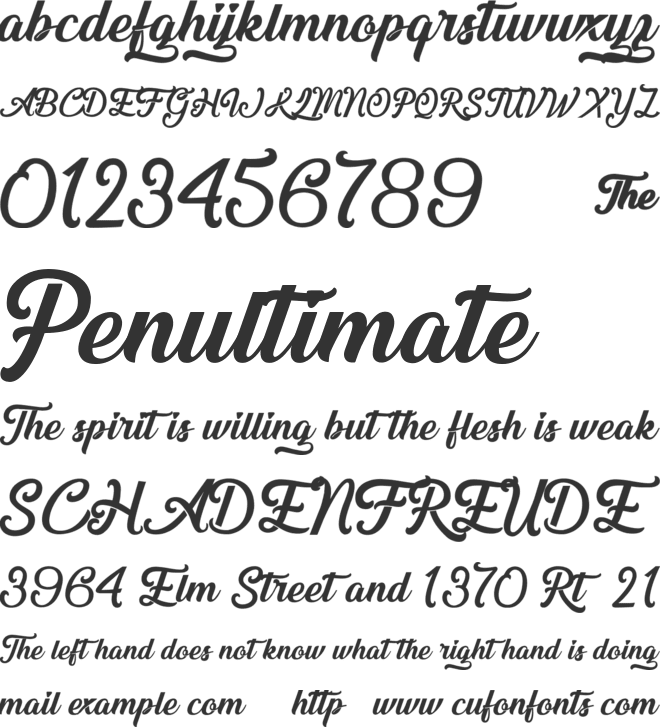 &Championship font preview