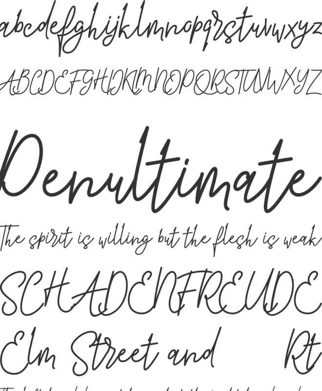 Pure Tintri FREE font preview