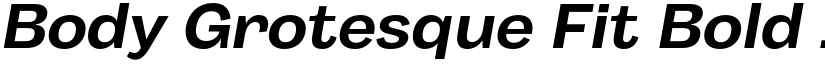 Body Grotesque Fit Bold Italic font