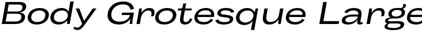 Body Grotesque Large Italic font