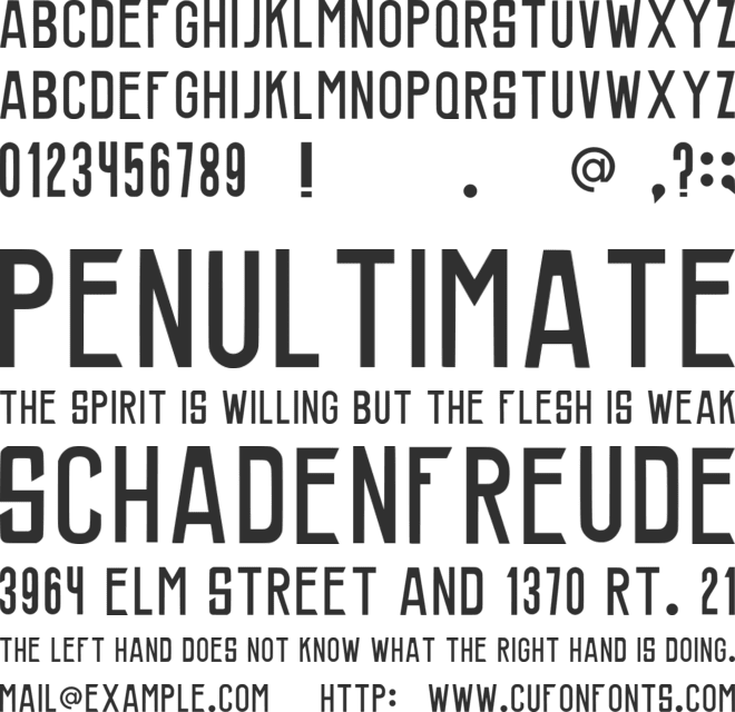 Flash font preview