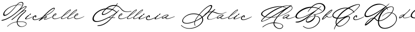 Michelle Fellicia Italic font