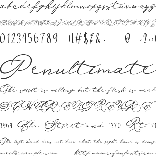 Michelle Fellicia font preview