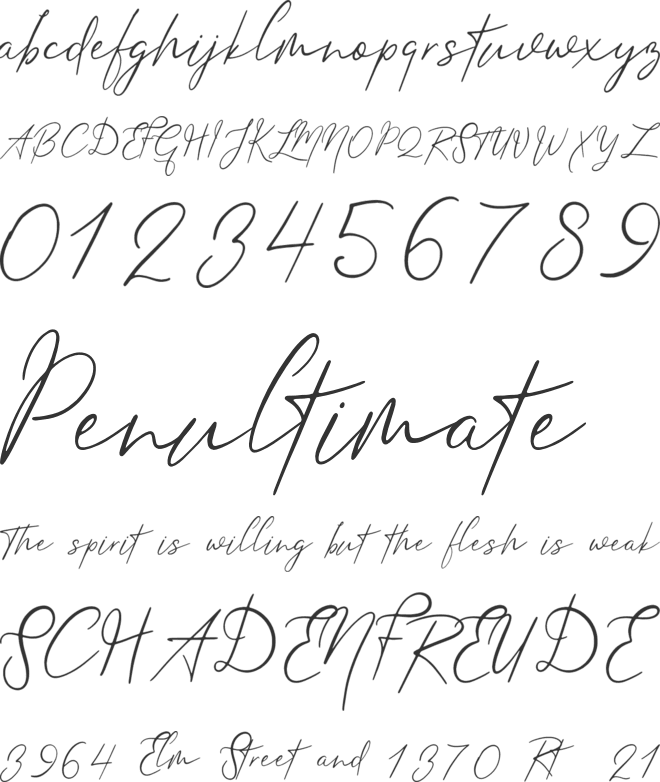Searchlight font preview