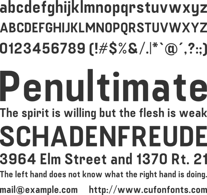 Fuji font preview