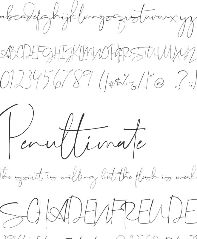 Consuela Script font preview
