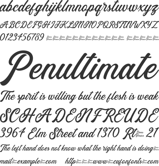 font 6 font preview