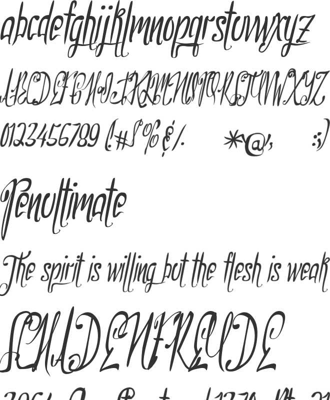 NorthernMontgomery font preview