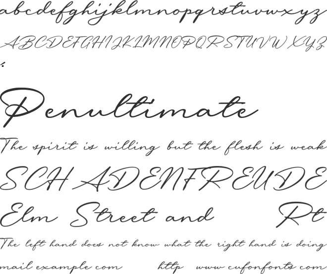 Messy Nessy Script 1 font preview