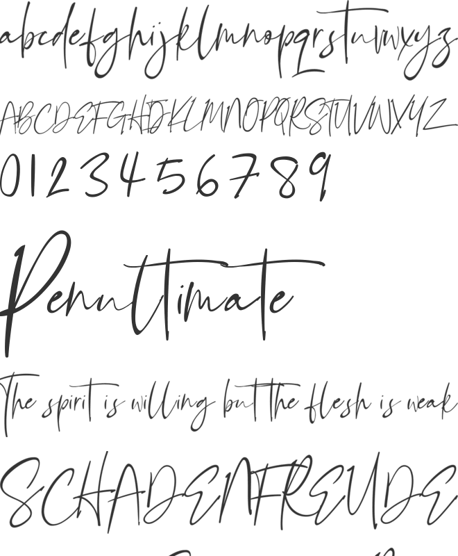Bellandha Signature font preview