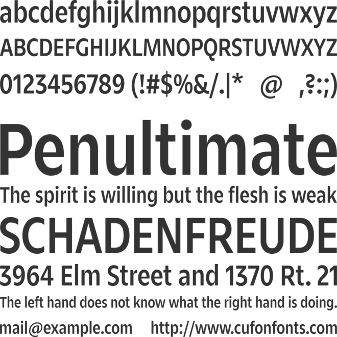 Zin Sans Condensed font preview