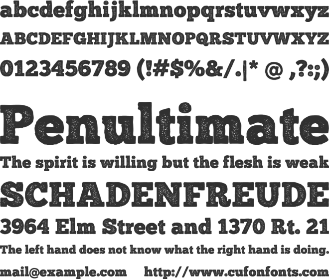 ChunkFive Print font preview