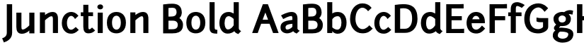 Junction Bold font