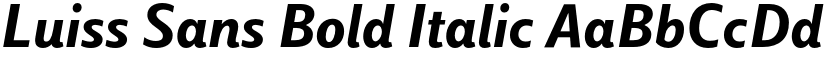 Luiss Sans Bold Italic font