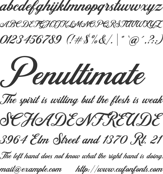 Retromark Script font preview