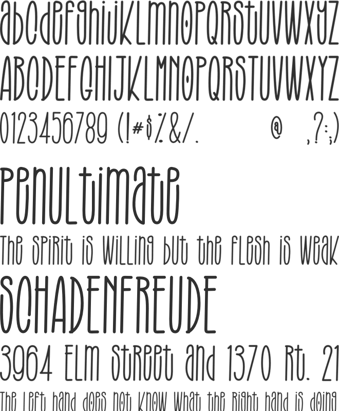 BROUGHT THE STYLE font preview