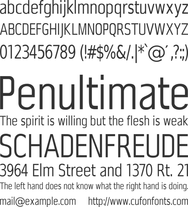 Selena font preview